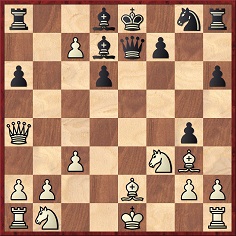 1966 Bobby Fischer vs Fidel Castro, PhilipRother