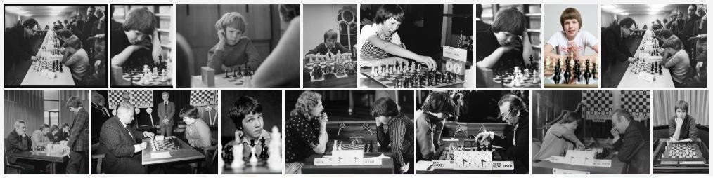 Nigel Short: 'Girls just don't have the brains to play chess