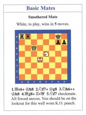 Smothered Checkmate!