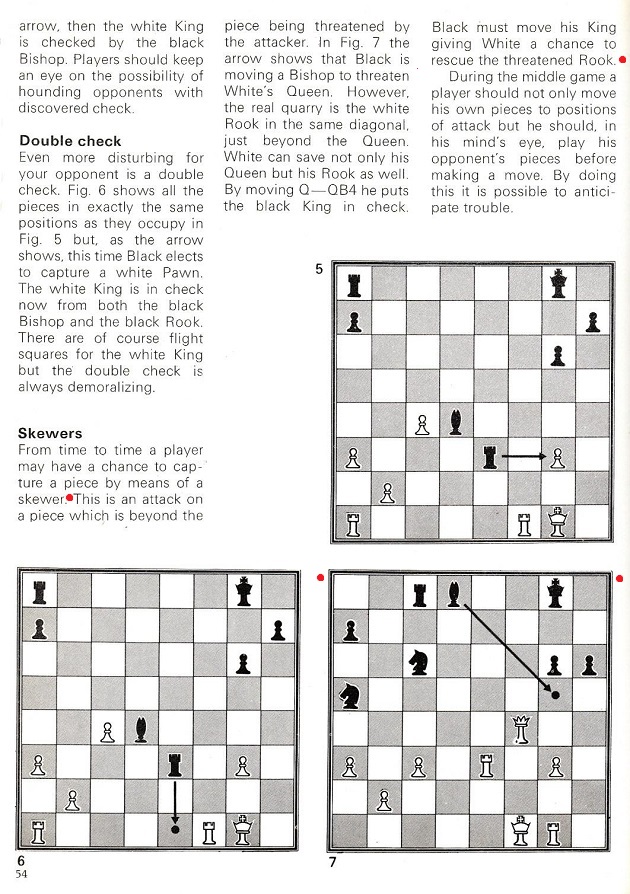 Skewer - Chess Terms 